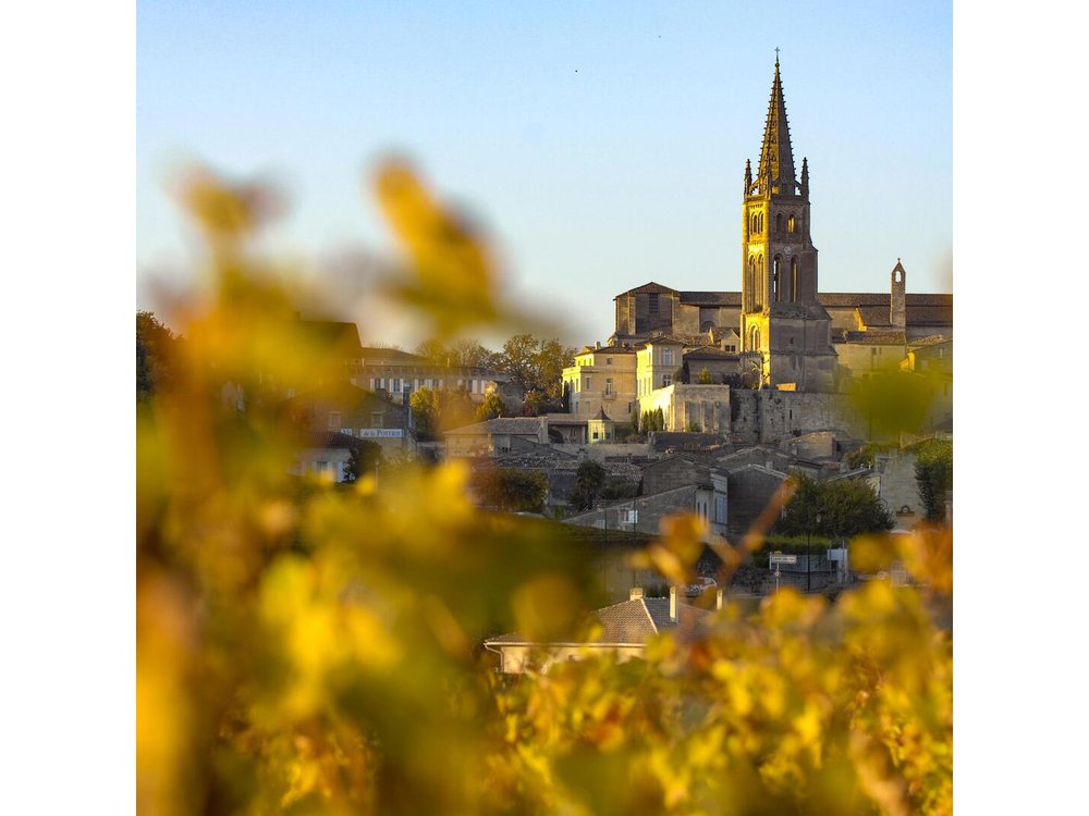 Saint Emilion Half-Day Trip with Wine Tasting & Winery Visit from Bordeaux