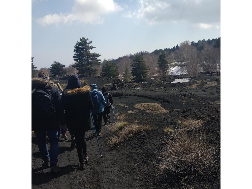 Mount Etna Half-Day Small Group Tour from Taormina