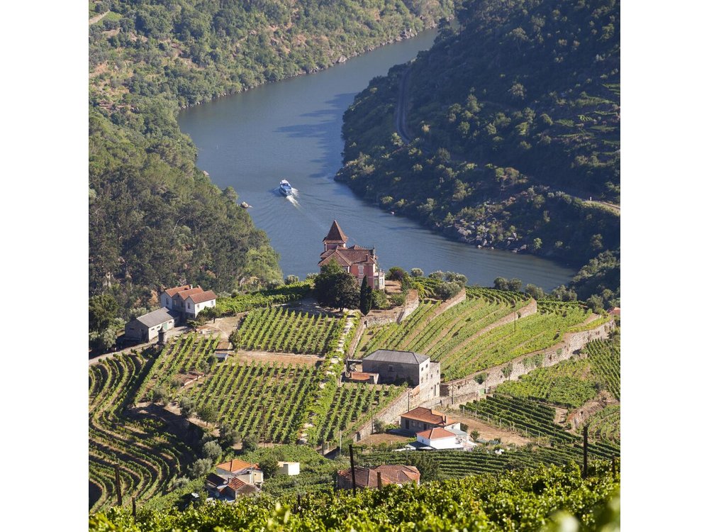 Douro Valley Private Full–Day Tour from Porto