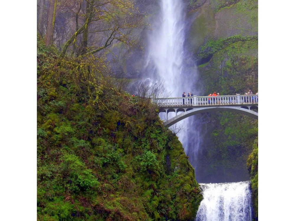 Columbia River Gorge Waterfalls Tour from Portland, OR