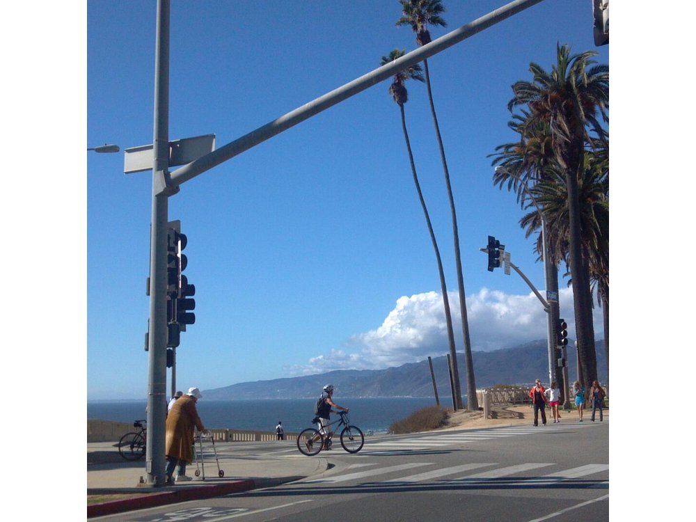 3.5 Hour Coastal Tour of Santa Monica, Venice Beach and Malibu
