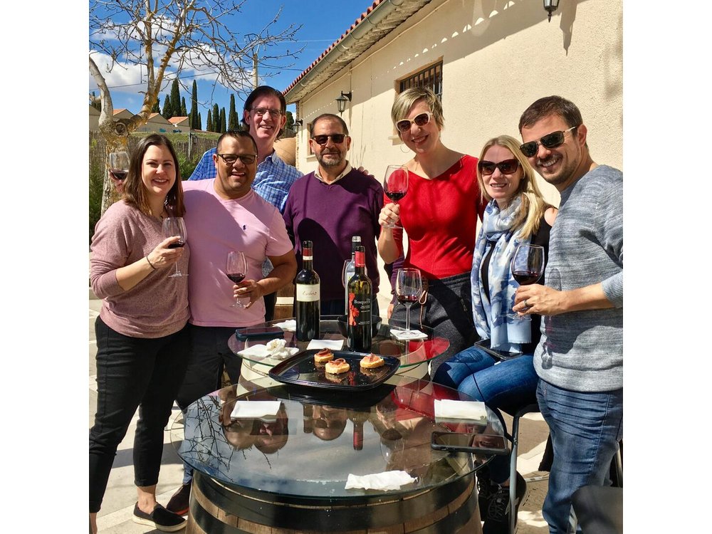 Private Winery Tour near Madrid with Sommelier (6-hour)