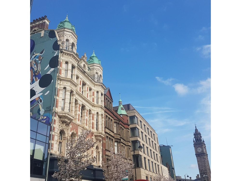 the Original Eclectic Belfast Walking tour with a local Gardener.