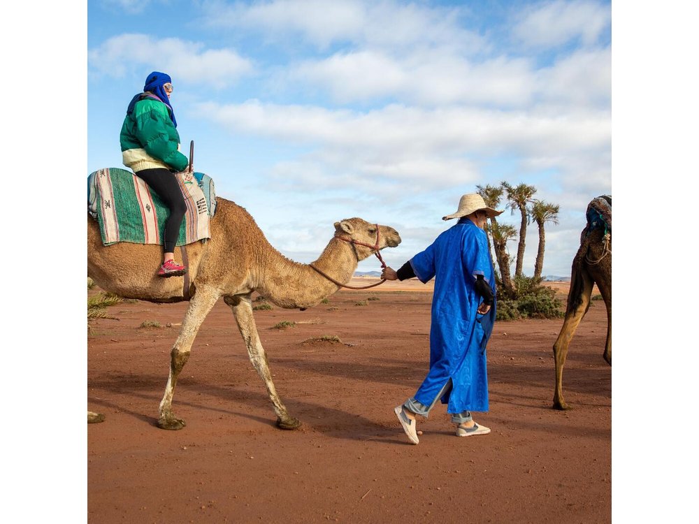 Camel and Quad Biking Tour from Marrakech