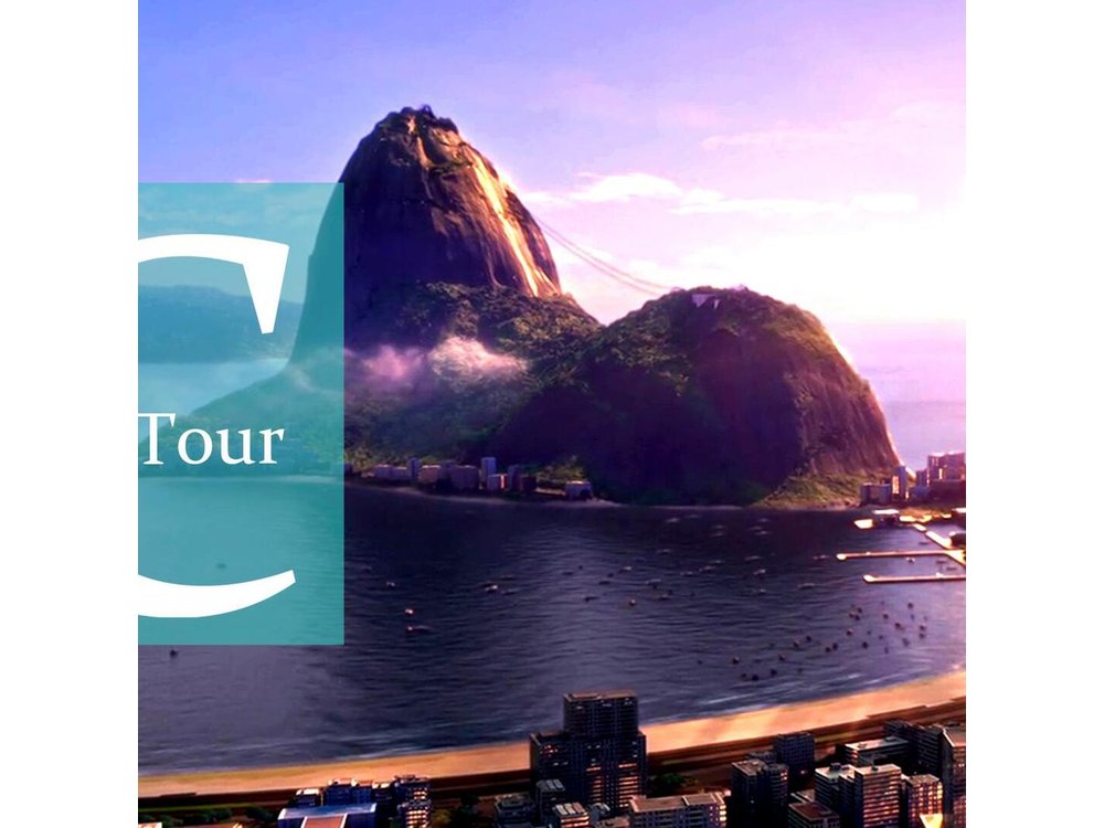 Rio de Janeiro Day Tour with Lunch