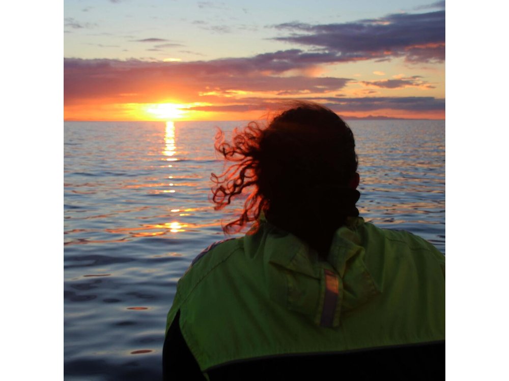 Midnight Sun Whale & Puffin watching from Reykjavik