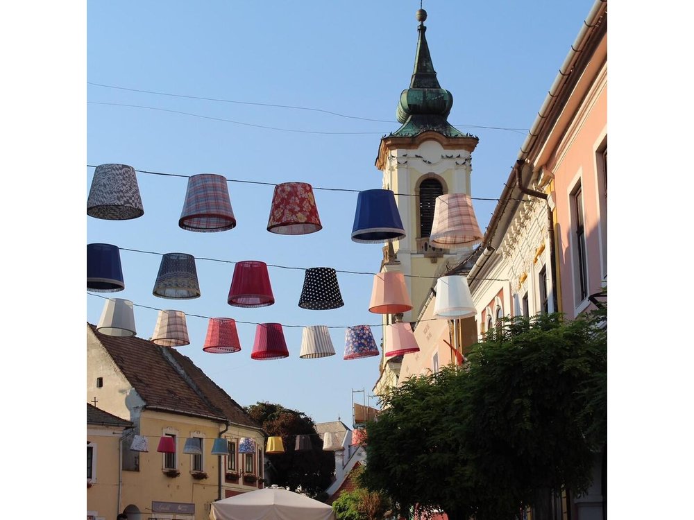 Budapest Danube Bend Private Tour Lunch and Cruise