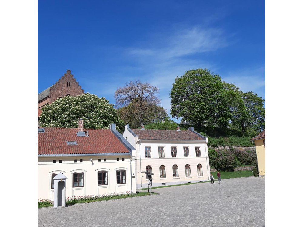 Art and Museum Tour of Oslo