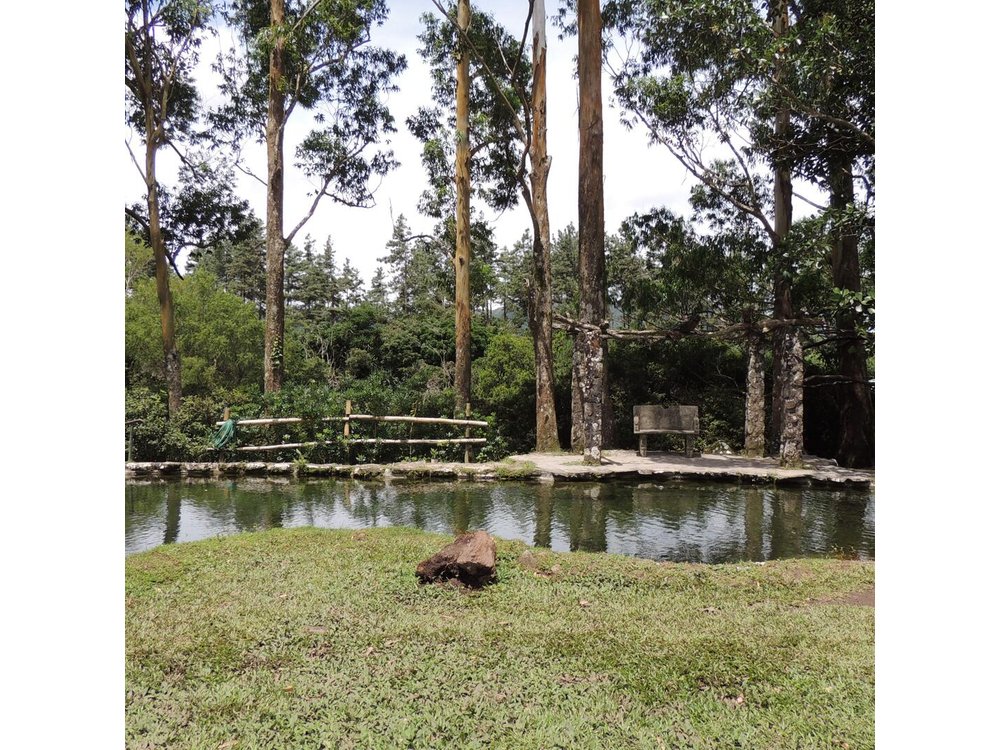 Antón Valley Tour from Panama City Nature,Waters