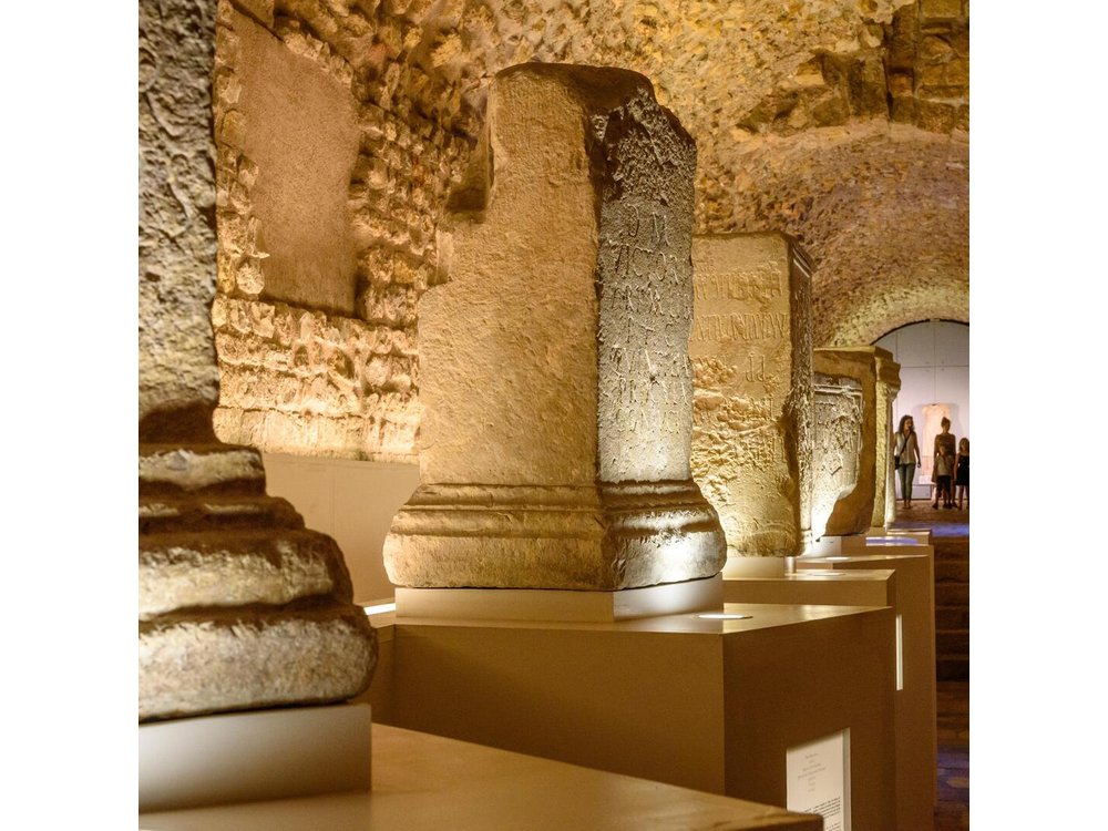 Guided Tour of Roman Tarragona