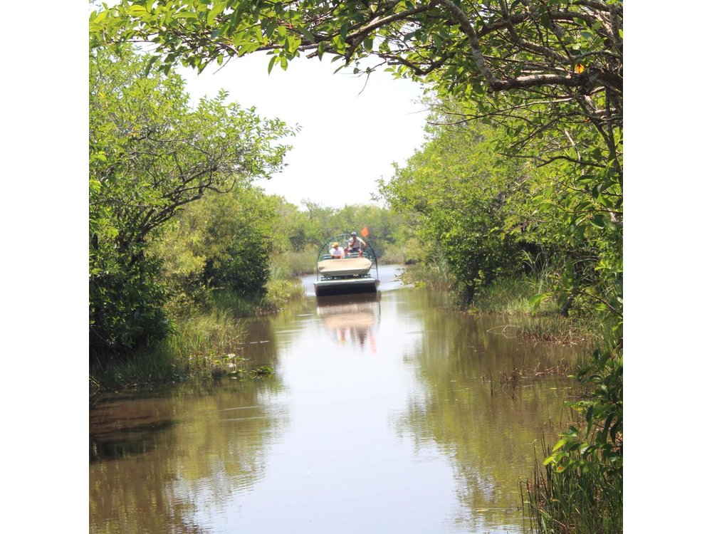 Miami + Everglades in One Perfect Day–small group & pick up
