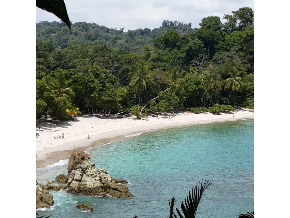 Manuel Antonio National Park; Beach & Sightseeing Day Trip from San Jose