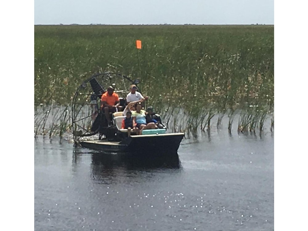 Private 1.5-Hour Airboat Tour of Miami Everglades