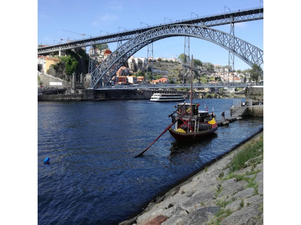 Porto Private Tour from Lisbon