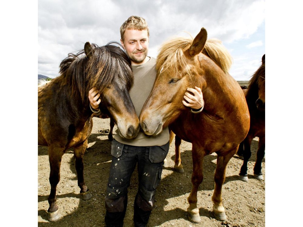 Icelandic Horseback Riding Tour Including Pick Up from Reykjavik