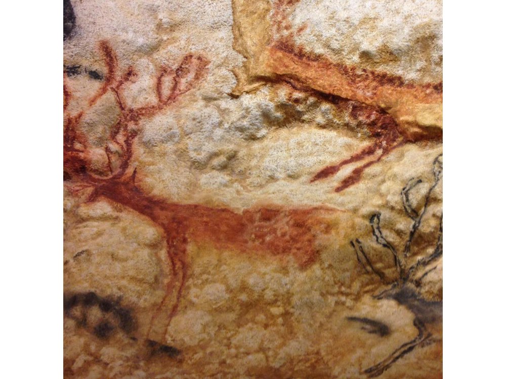 Bordeaux to Lascaux and Dordogne Valley Private Sightseeing Tour