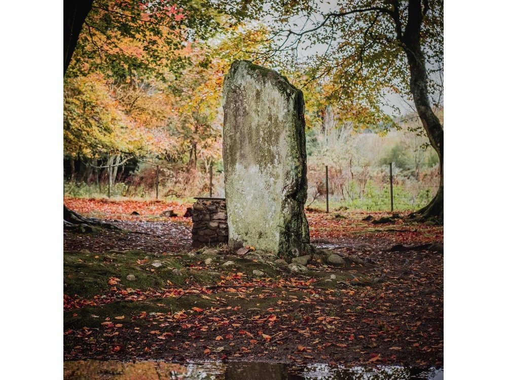 Glen Affric & Culloden Tour from Inverness Including Admissions