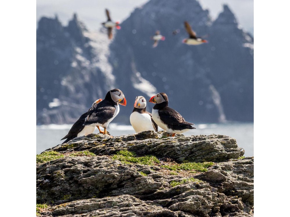 7-Day Ireland to Island Small Group Tour from Dublin