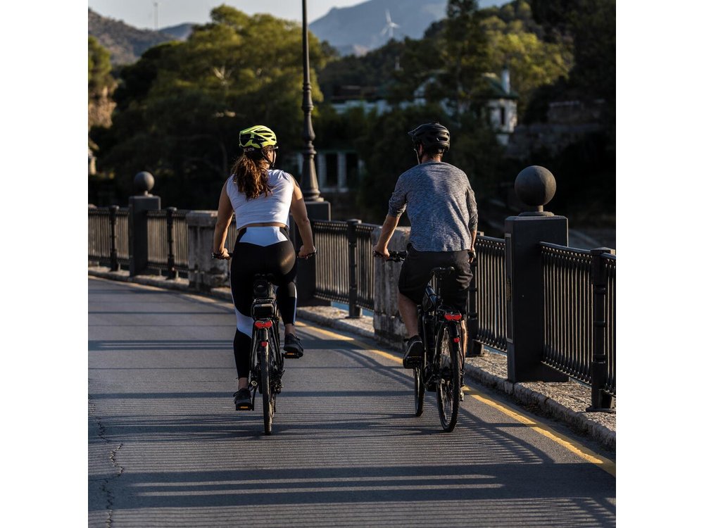 Malaga Highest Peak E-Bike Tour: White Village Olias and El Palo