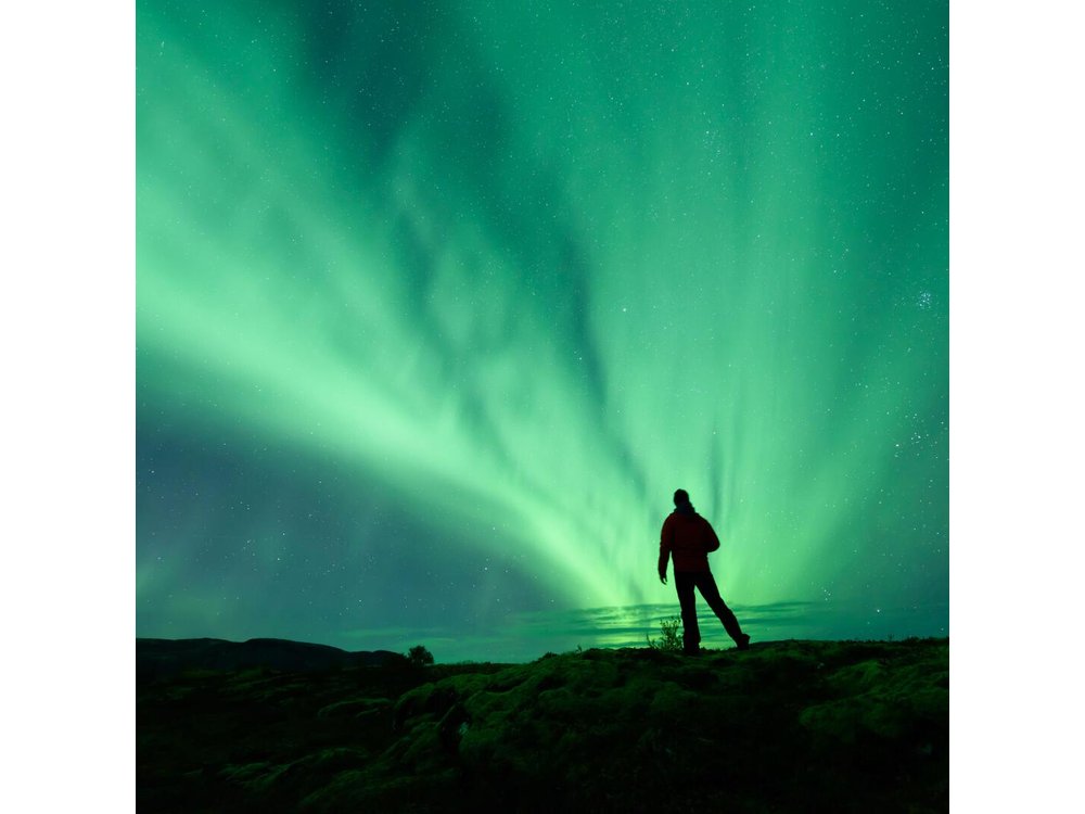 Northern Lights Small Group Guided Tour from Reykjavik