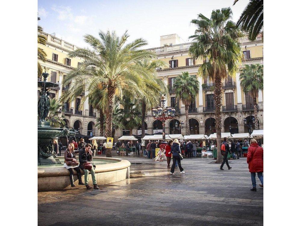 Private Barcelona Old Town and Gothic Quarter Walking Tour