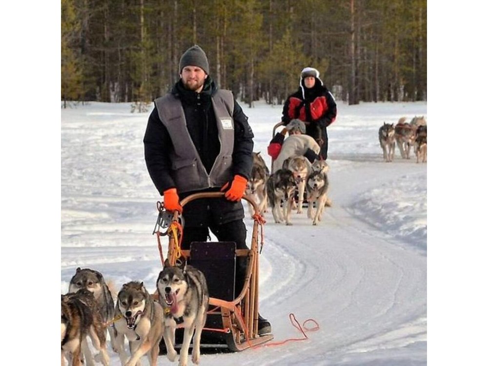 Husky Safari from Levi 2 KM or 5 KM with Husky Sledge Ride