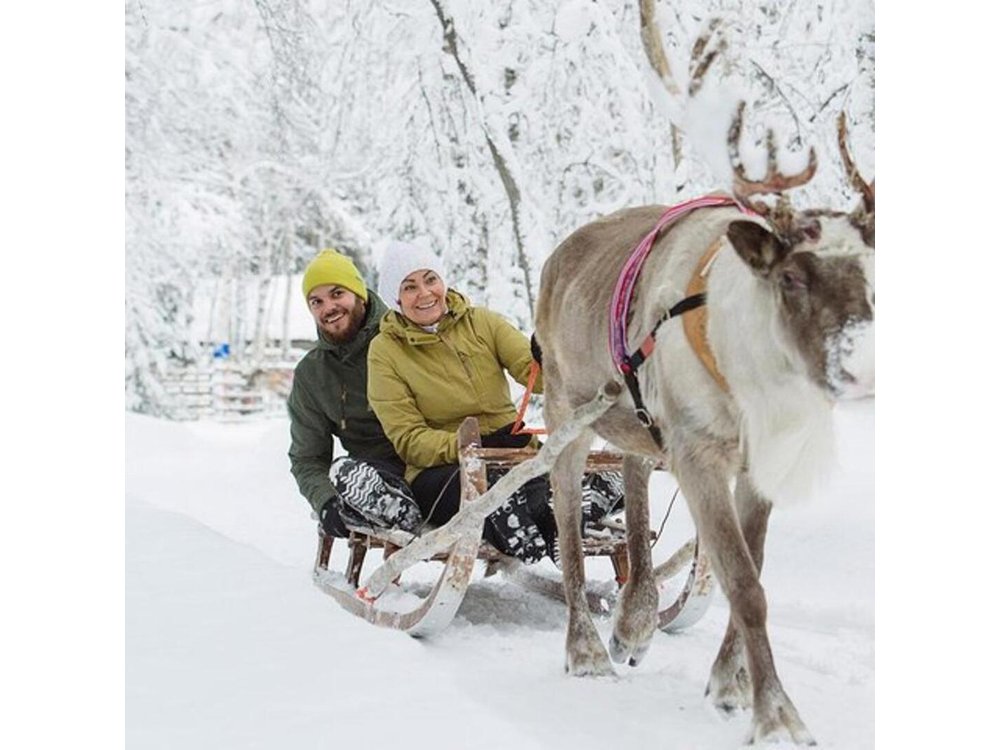 Levi Reindeer Safari - Long or Quick - with Sledge Ride