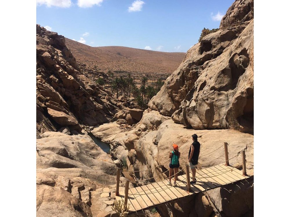Fuerteventura South Exclusive Tour