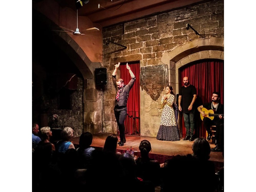 Barcelona Private Tour: Tapas & Wine Tasting with Flamenco Show