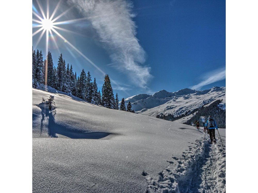 Guided Winter Wonderland Snowshoeing Adventure From Prague