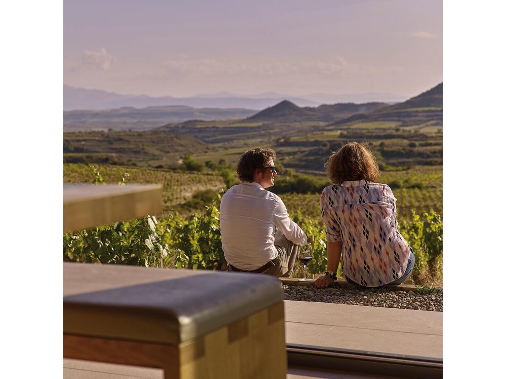 La Rioja wine tour: winery and traditional lunch from Bilbao