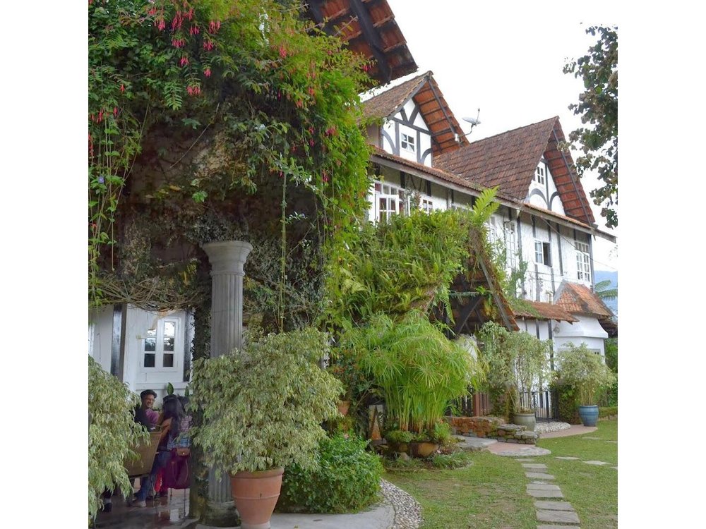 Cameron Highlands: Mossy Forest Tour