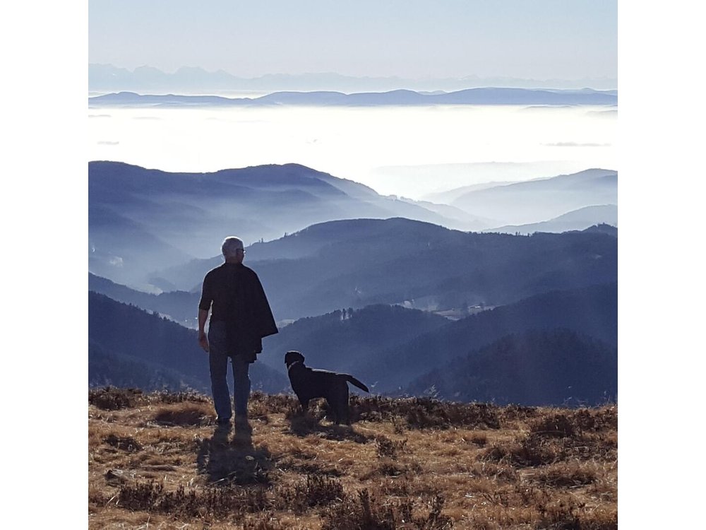 Black Forest Tour by car: start/end Offenburg or Gengenbach