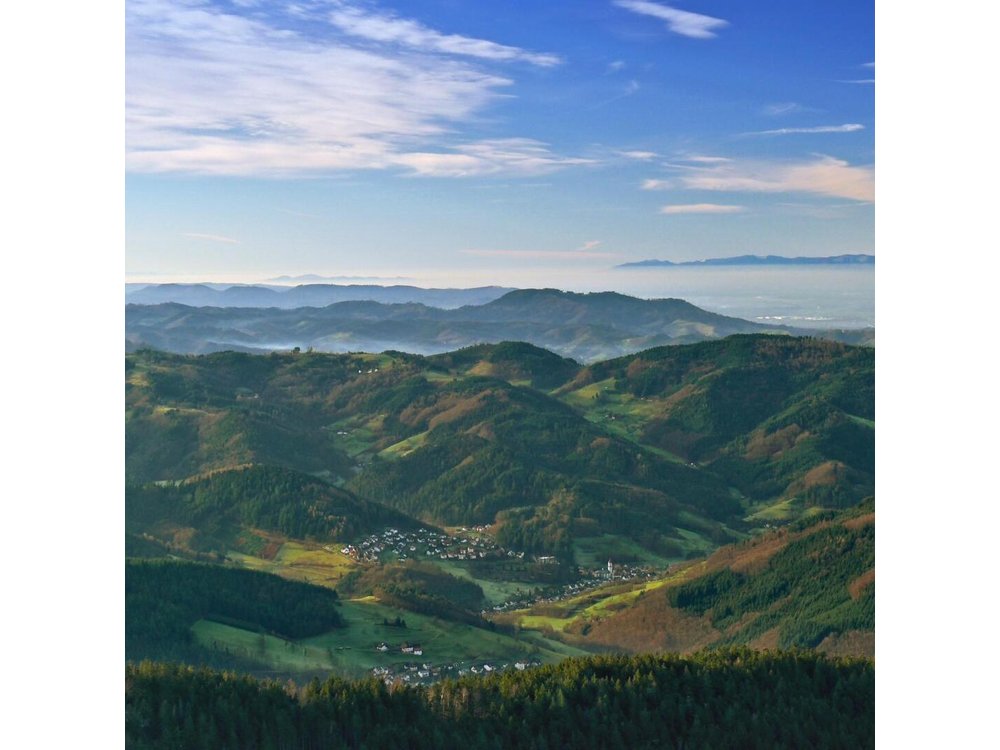 Black Forest Day Tour