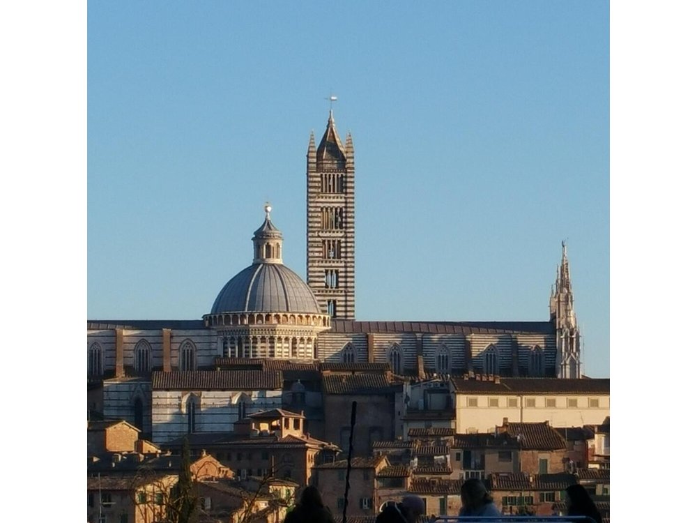 First Time Siena Medieval Tuscany Private Half Day Tour