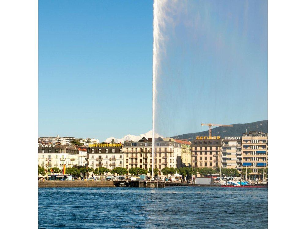 Private Tour of Geneva in 60 minutes with a Local
