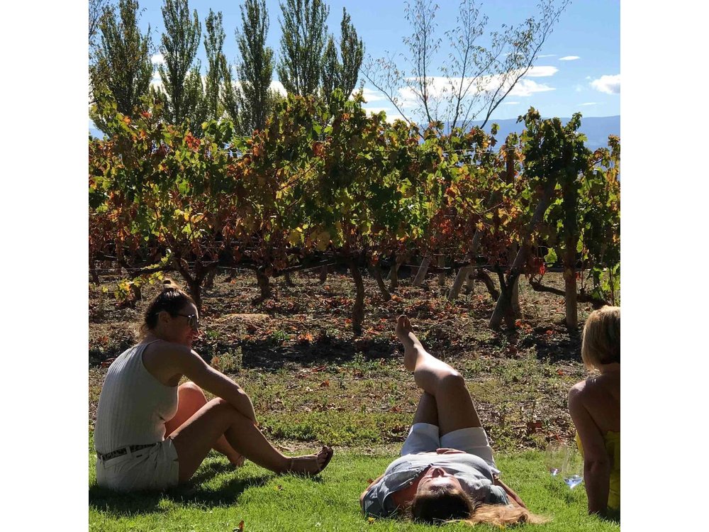 Rioja Wineries and Laguardia Tour with Picnic from San Sebastian