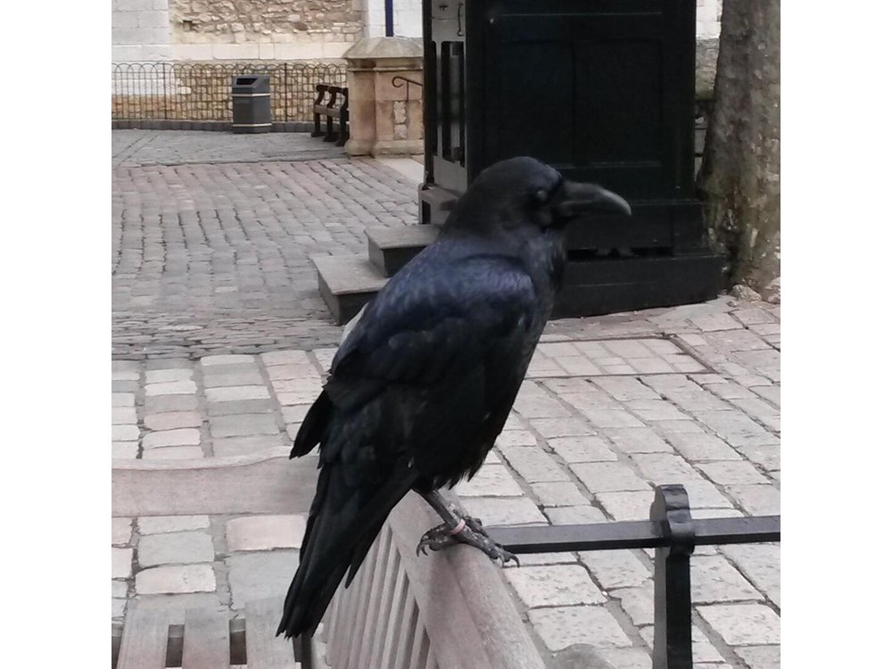 Tower of London Private Tour