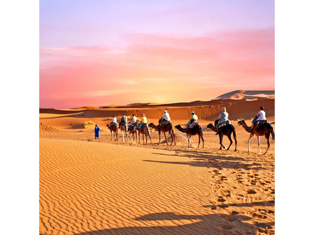 Zagora Desert Tour 1 night&2 days from Marrakech