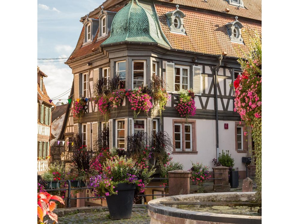 Alsace Local Villages Small Group Guided Tour from Strasbourg