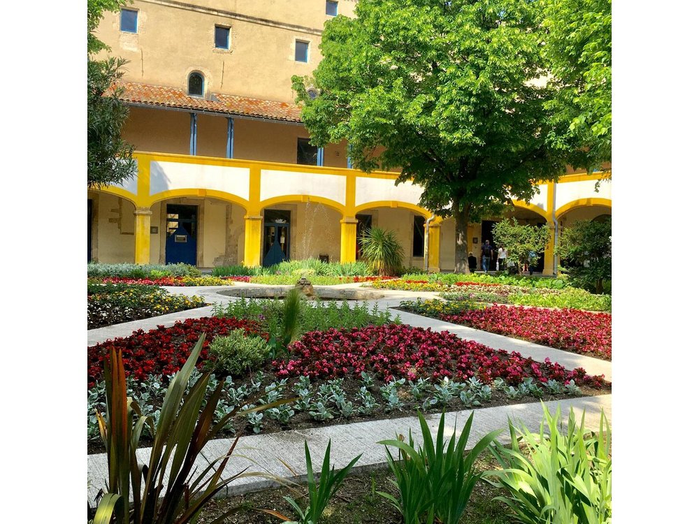 Half-Day Van Gogh Tour of Provence from Avignon
