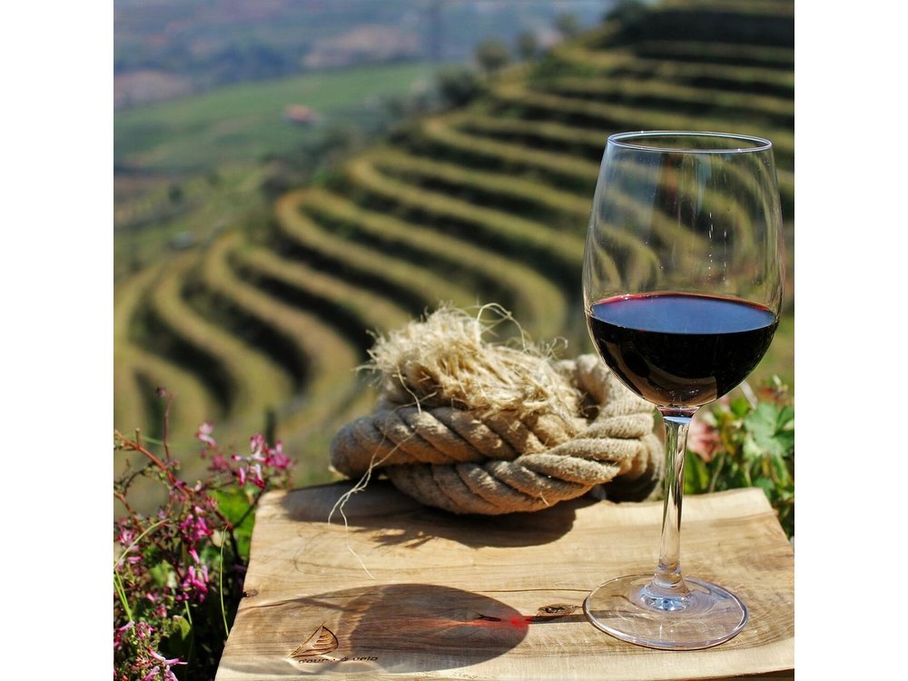 Private Douro Valley Tour Including 3 Wineries