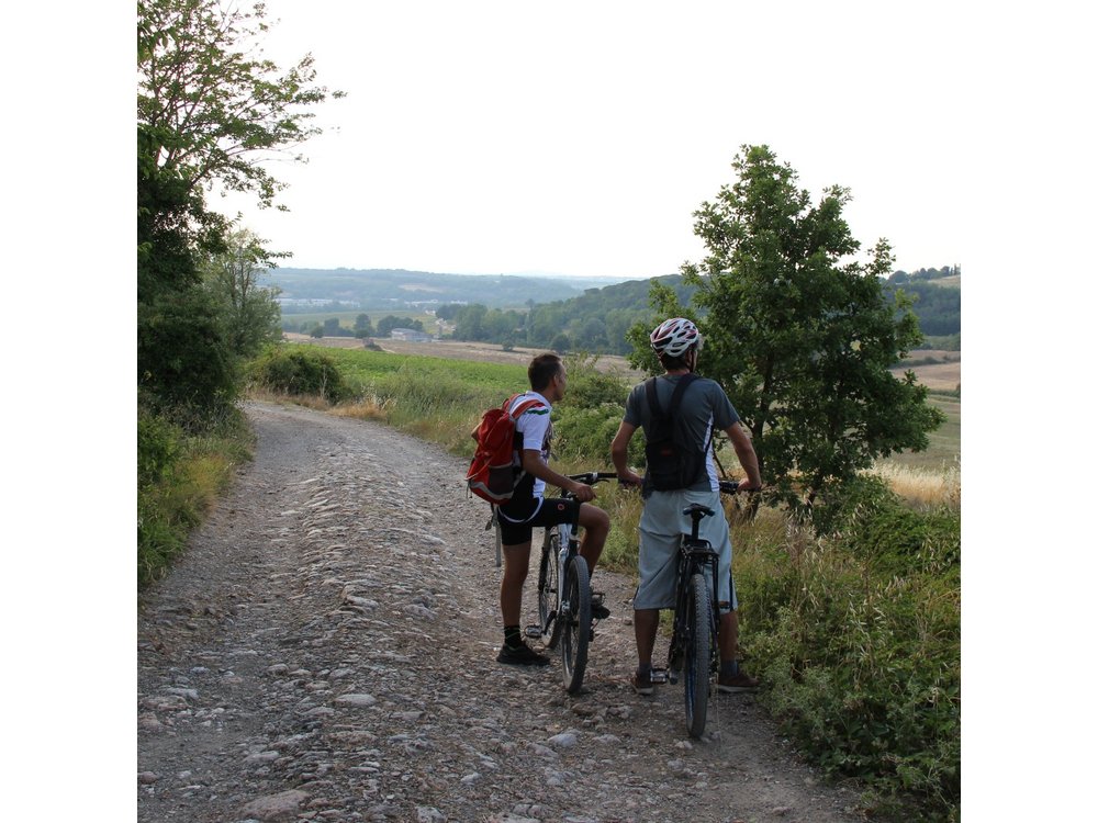 Small Group E-Bike Chianti Tour with farm lunch from Siena