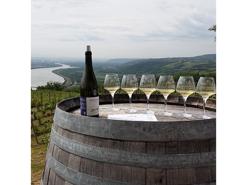 Rhône Valley Wine Tasting Private Day Tour from Lyon