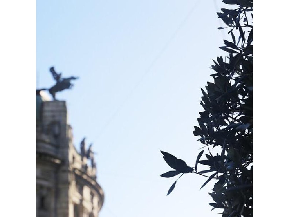 Discover Vigo : Private Historical and Cultural Walking Tour