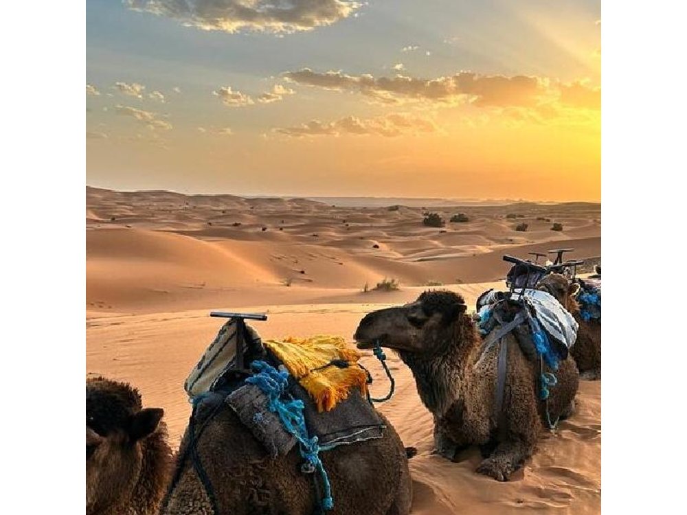 Private 3 Days Marrakech to Fes Tour via Merzouga