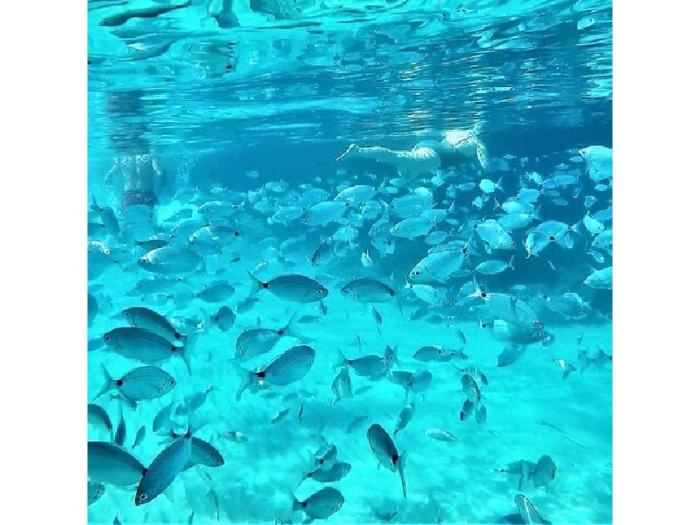 Ibiza Snorkeling Beach and Cave Tour