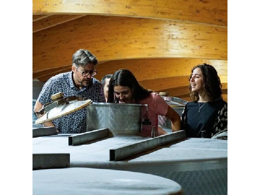 From the Cluster to the Chalice : A Journey into the Heart of Wine in Bardolino