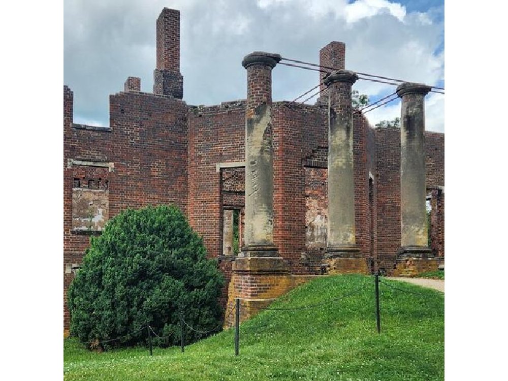 Private Charlottesville Area Wine Tour