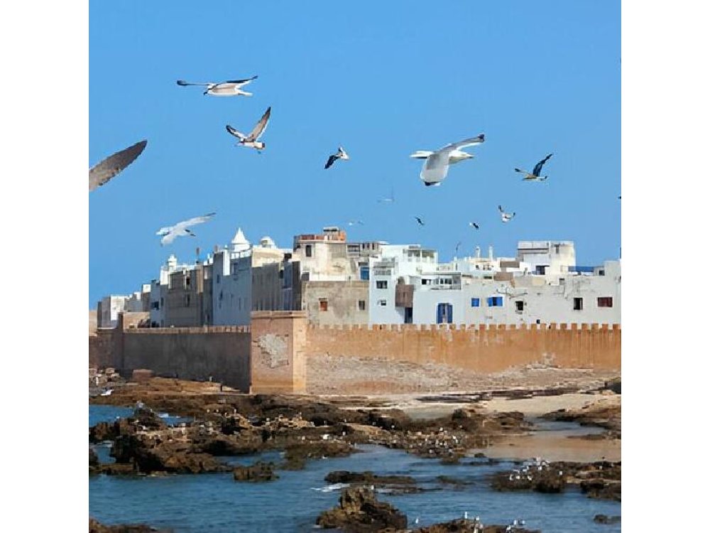 Private Day Trip to Essaouira from Marrakech